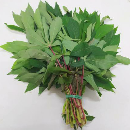 

Daun Singkong