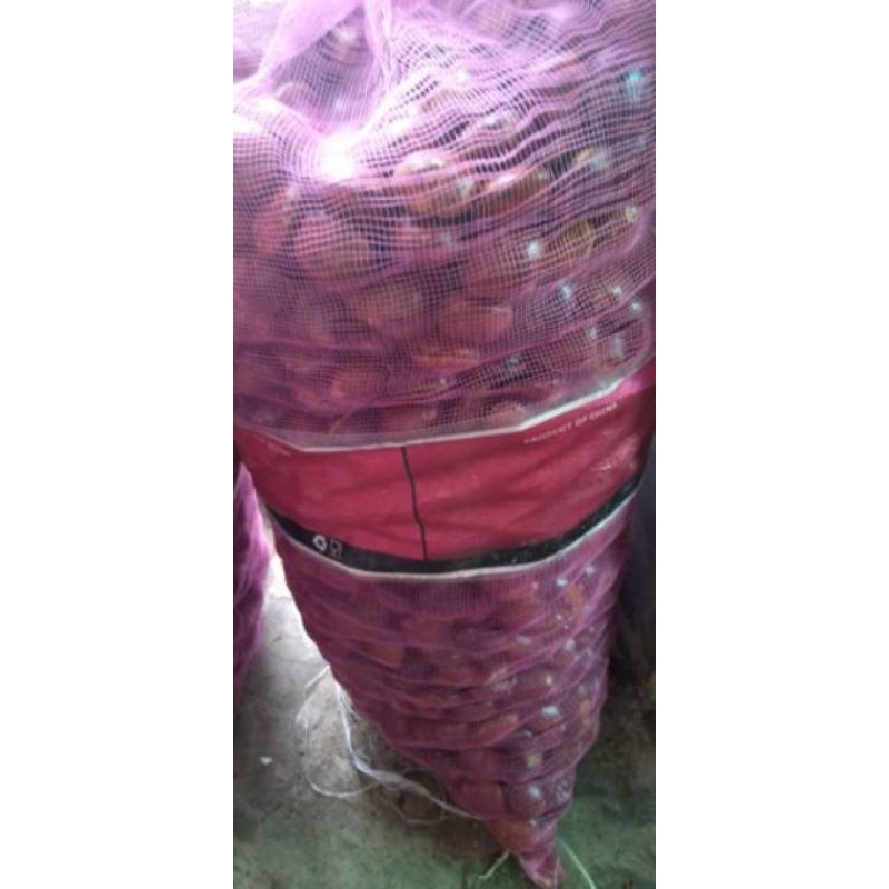 

jengkol tua segar berkualitas super