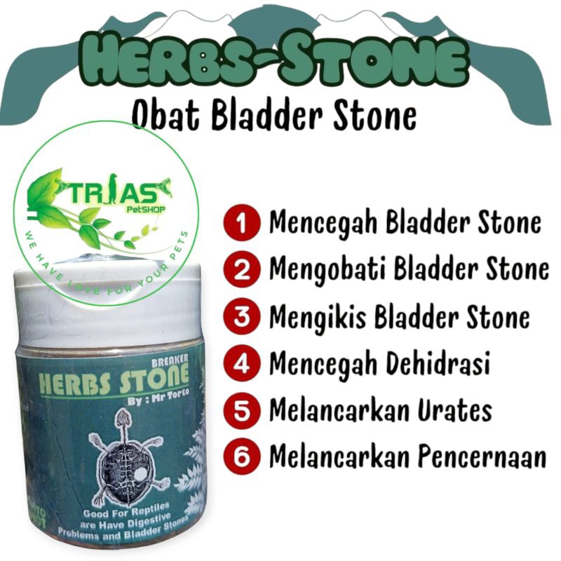 herbs Stone obat herbal BS Bladder stone sulcata kura kura/obat bS pardalis/obat bs kura obat herbs 