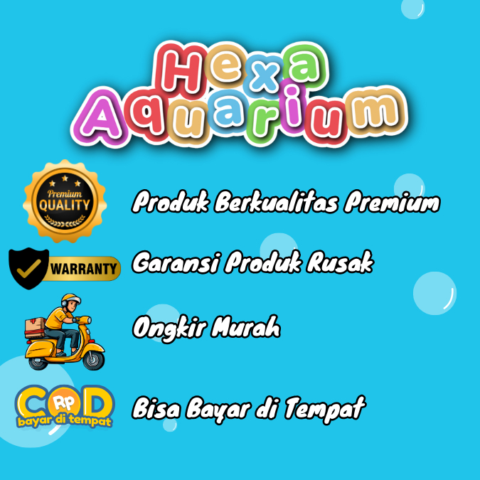 Aquarium Minimalis Akrilik Ikan Cupang Full Set Free Mesin Aerator Air Mancur Dan Lampu Led Aquarium