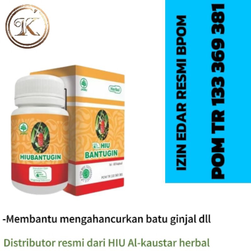 Kapsul Bantugin Obat Batu Ginjal Detox Ginjal 60 Kapsul