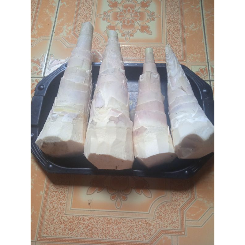 

jual rebung bambu segar paket 1 kg
