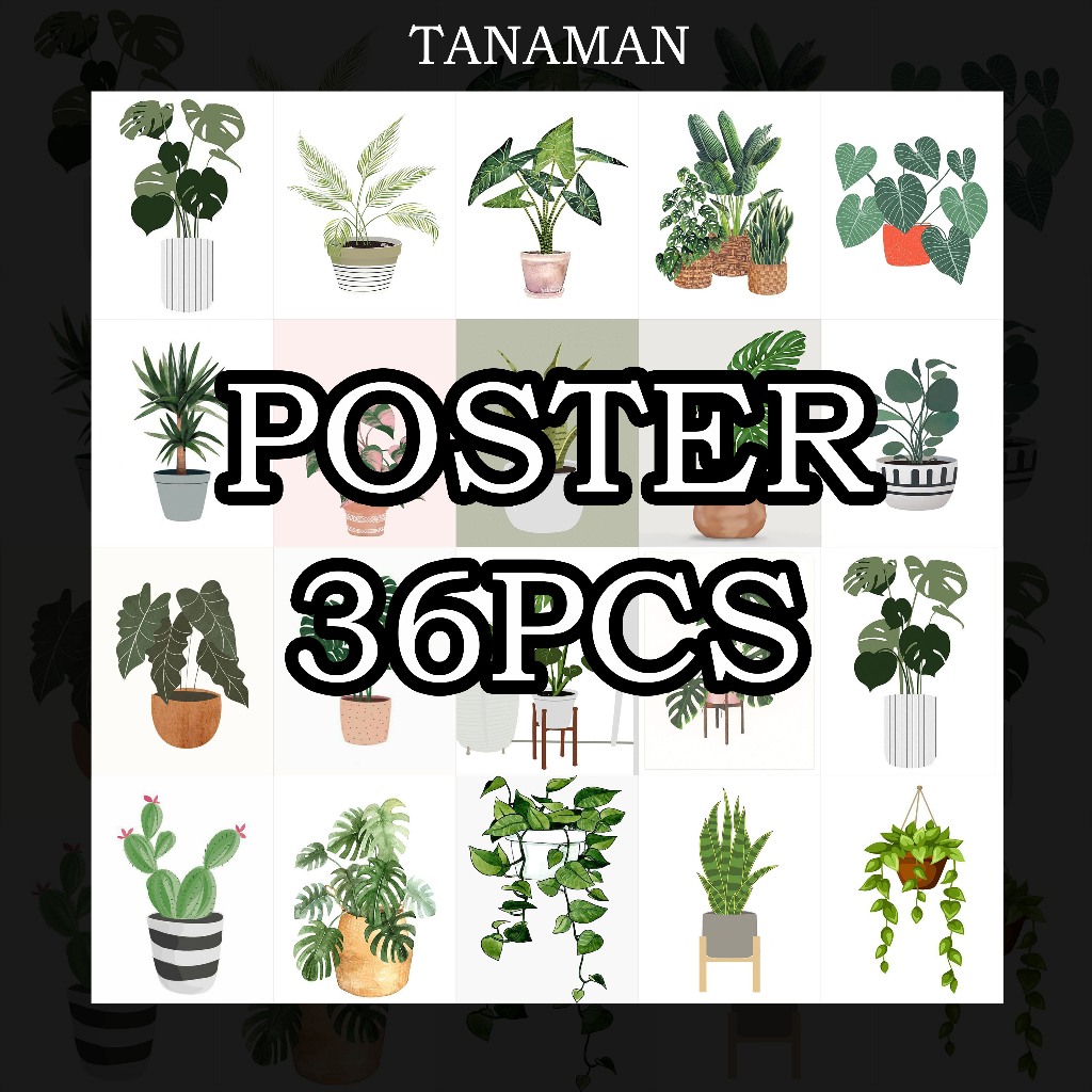 Hiasan Dinding Poster Tempel Dekorasi Kamar Gambar Tanaman Poster Dinding Aesthetic