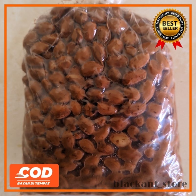 Umpan mancing ikan bawal kacang presto 500gr siap pakai