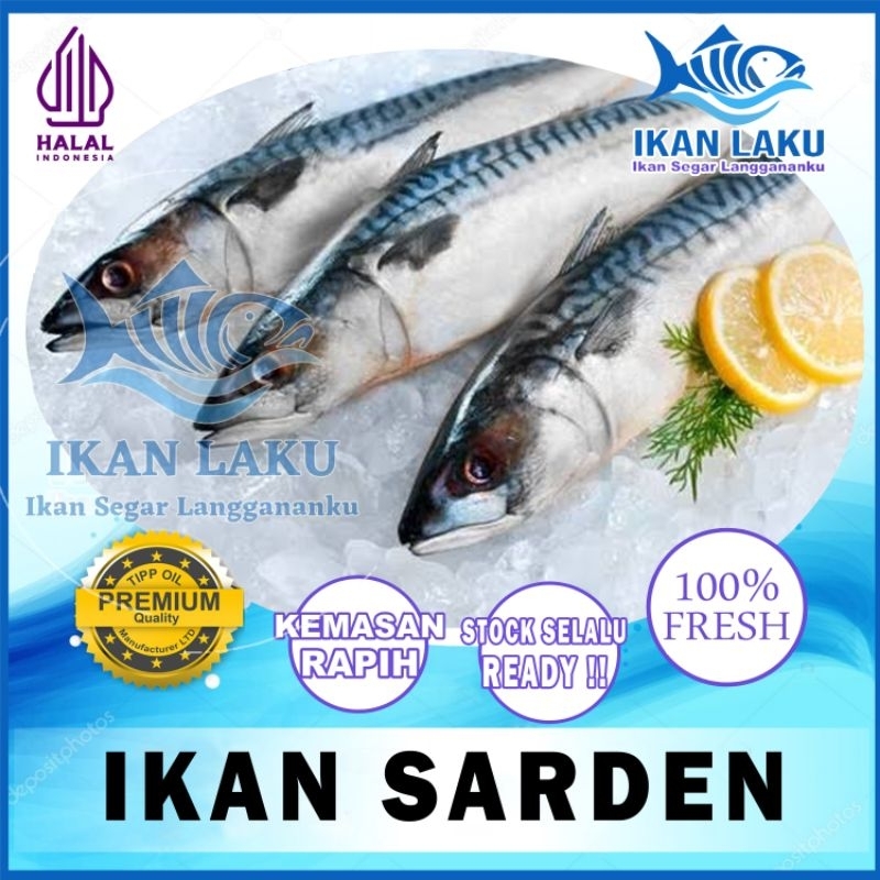 

IKAN SALEM SARDEN | KEMBUNG LAYANG PREMIUM FRESH TERMURAH BERGARANSI IKAN LAKU IKAN SEGAR IKAN BEKU