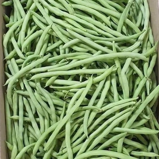 

{ 500 GRAM } Buncis baby segar [ 1 kg ] buncis fresh