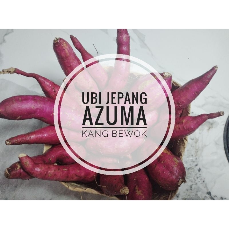 

Ubi Jepang Azuma (1 kg)