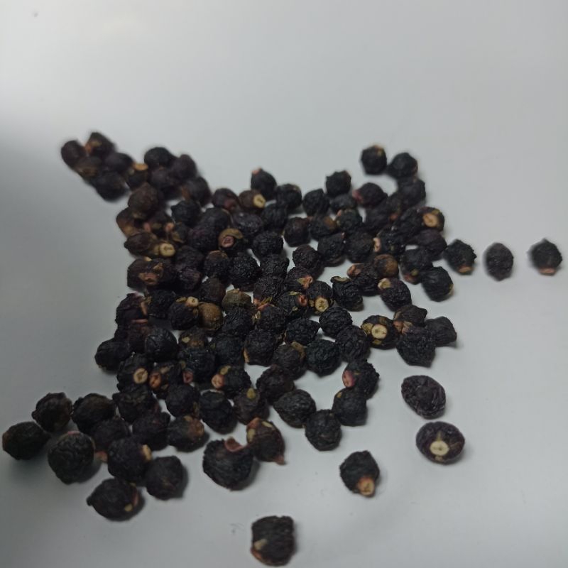 

Buah Angkung Kering Obat Herbal Alami isi 200 Biji