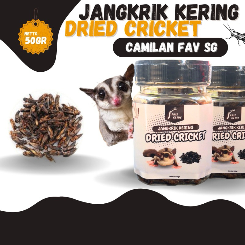 JANGKRIK KERING SUGAR GLIDER BURUNG IKAN CHANNA HAMSTER GERBIL PAKAN CHANNA PAKAN SUGAR GLIDER SNACK
