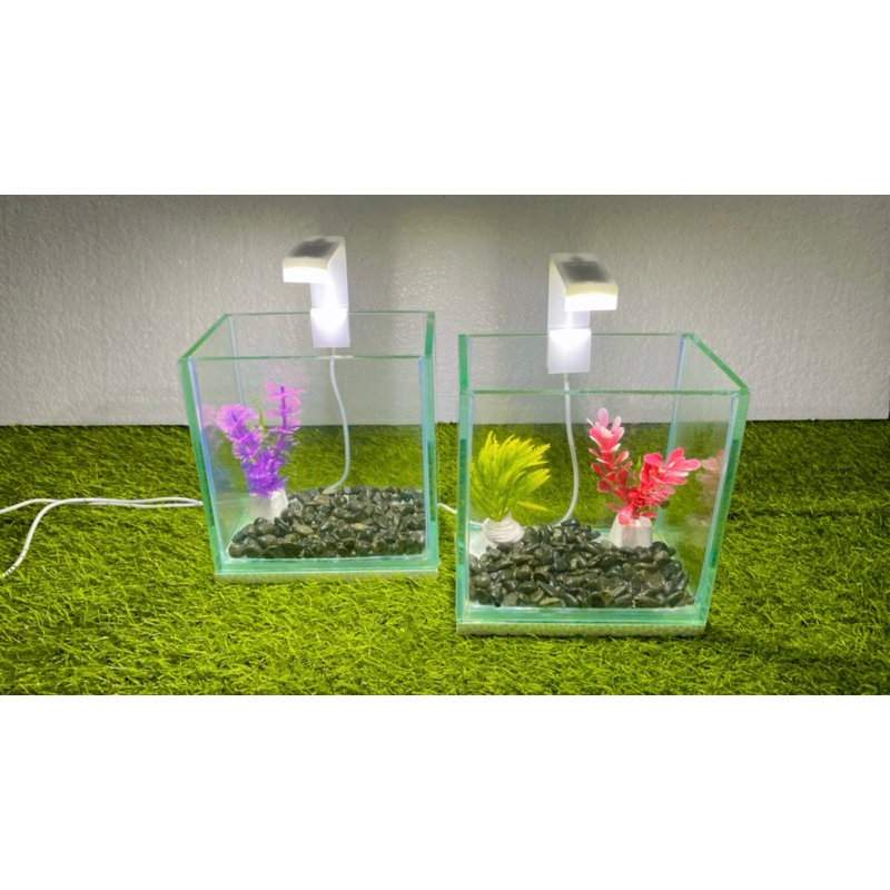 aquarium mini ukur 15.10.15 kaca 5mm bening /aquarium guppy/aquarium cupang/aquarium ikan hias