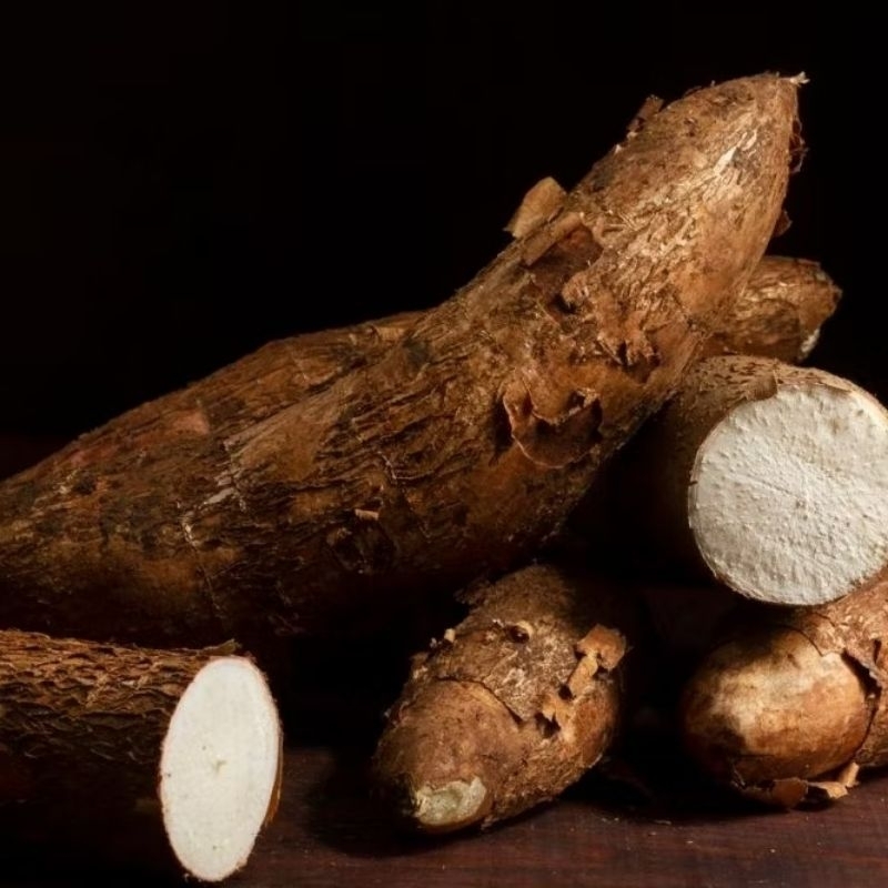

SINGKONG PULEN BAHAN SINGKONG KEJU 500 GRAM