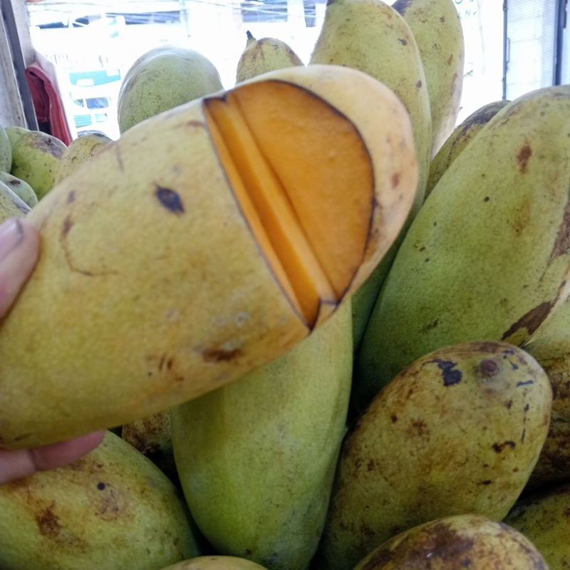 

Mangga golek (500g)