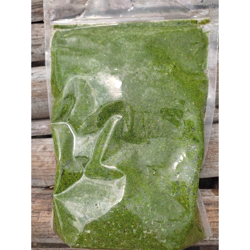 1kg WOLFIA tanaman air, pakan ikan, bagus tinggi protein