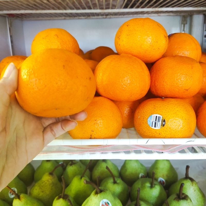 

Jeruk Mandarin Murcot / buah segar / parcel buah / parcel buah segar