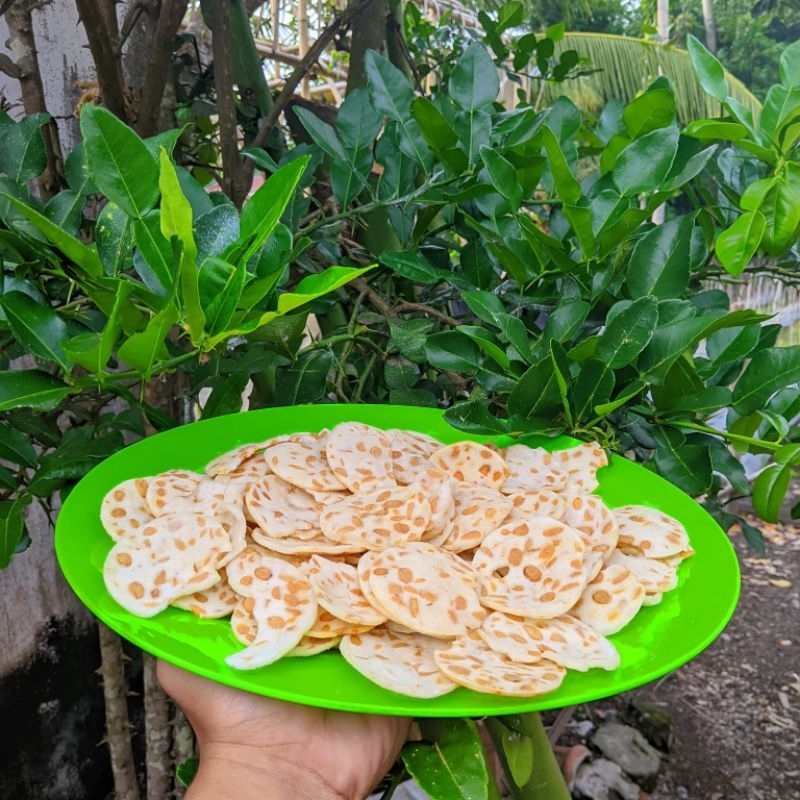 

Kripik tempe sagu terlaris tersedia di kemasan 90gr sampai 1kg