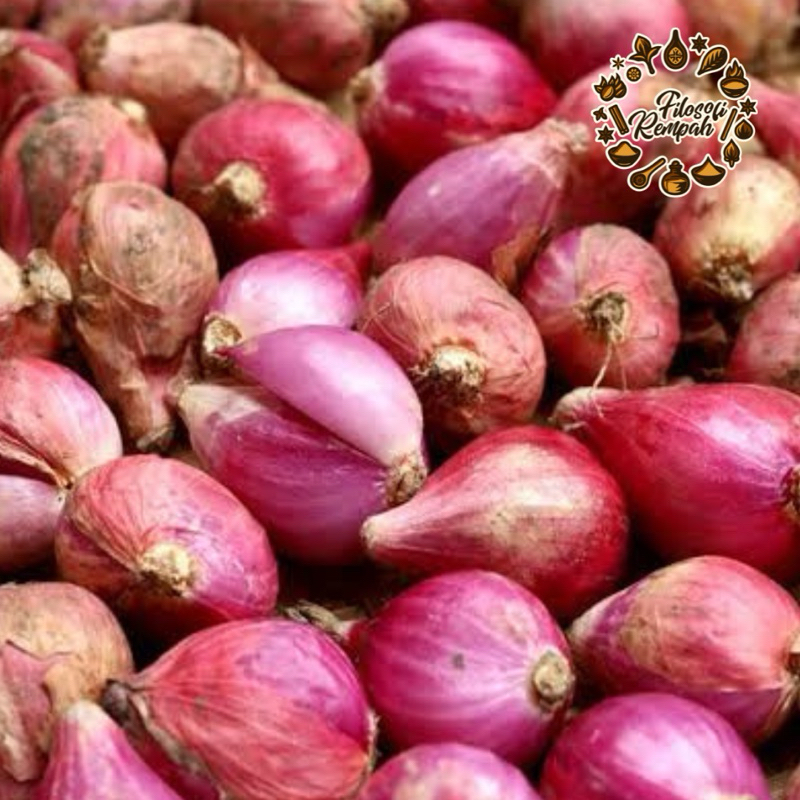 

Bawang Merah Super