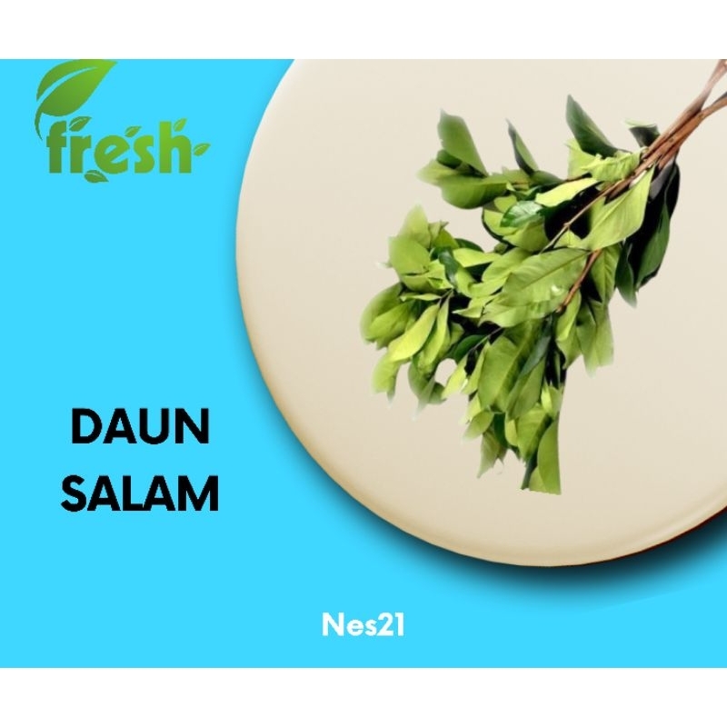 

Nes21 Sayuran Daun salam Per Iket