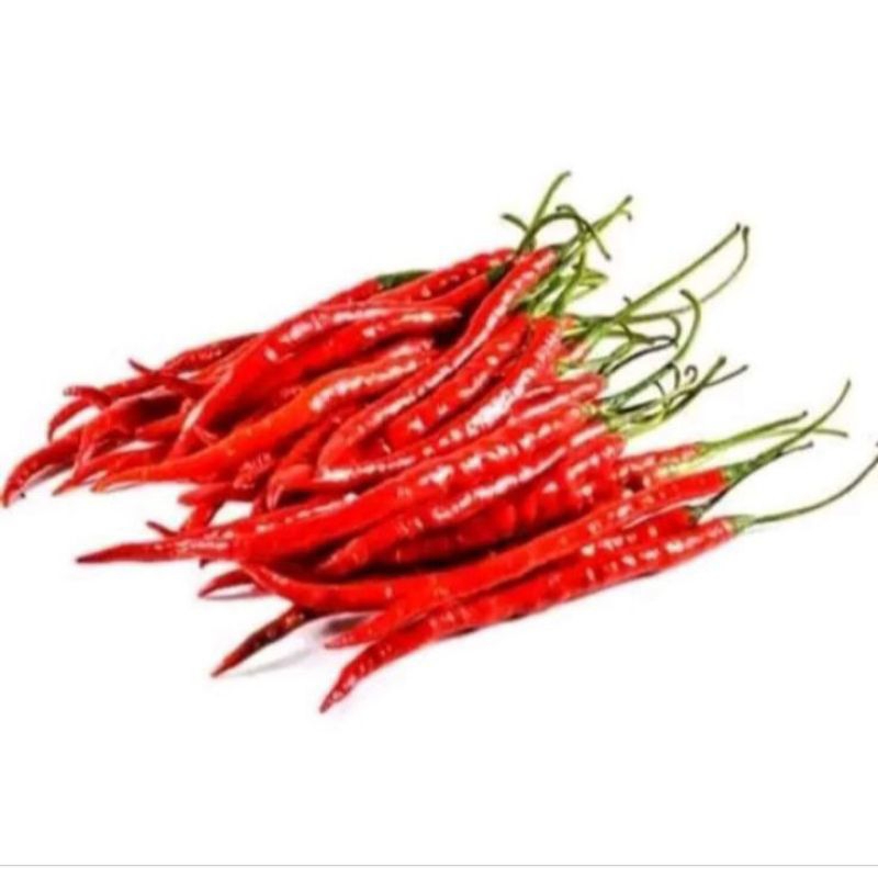 

Cabai Keriting Ukuran 1kg dan 500 gram