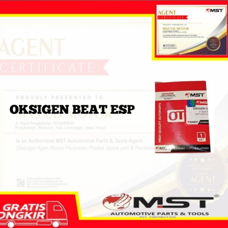 OKSIGEN SENSOR 02 H. BEAT ESP MST OTO