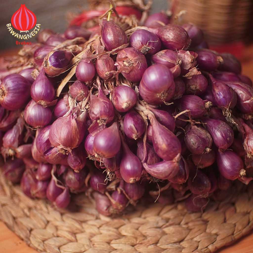 

BAWANG MERAH PETANI BREBES ASLI 1 KG DAUNAN KERING / SAYUR / BIBIT ASKIP / AWET SIMPAN GANTUNG
