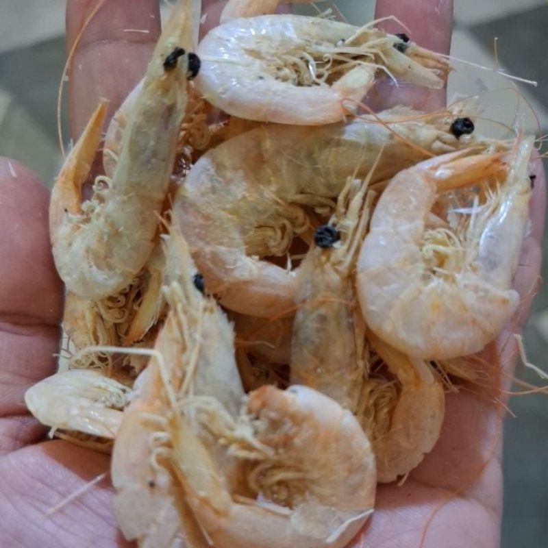 

Udang manis udang kertas pekhe udang putih 500gram