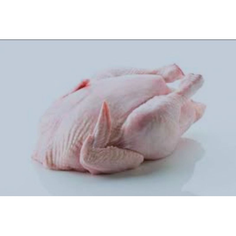 

ayam negri boiler