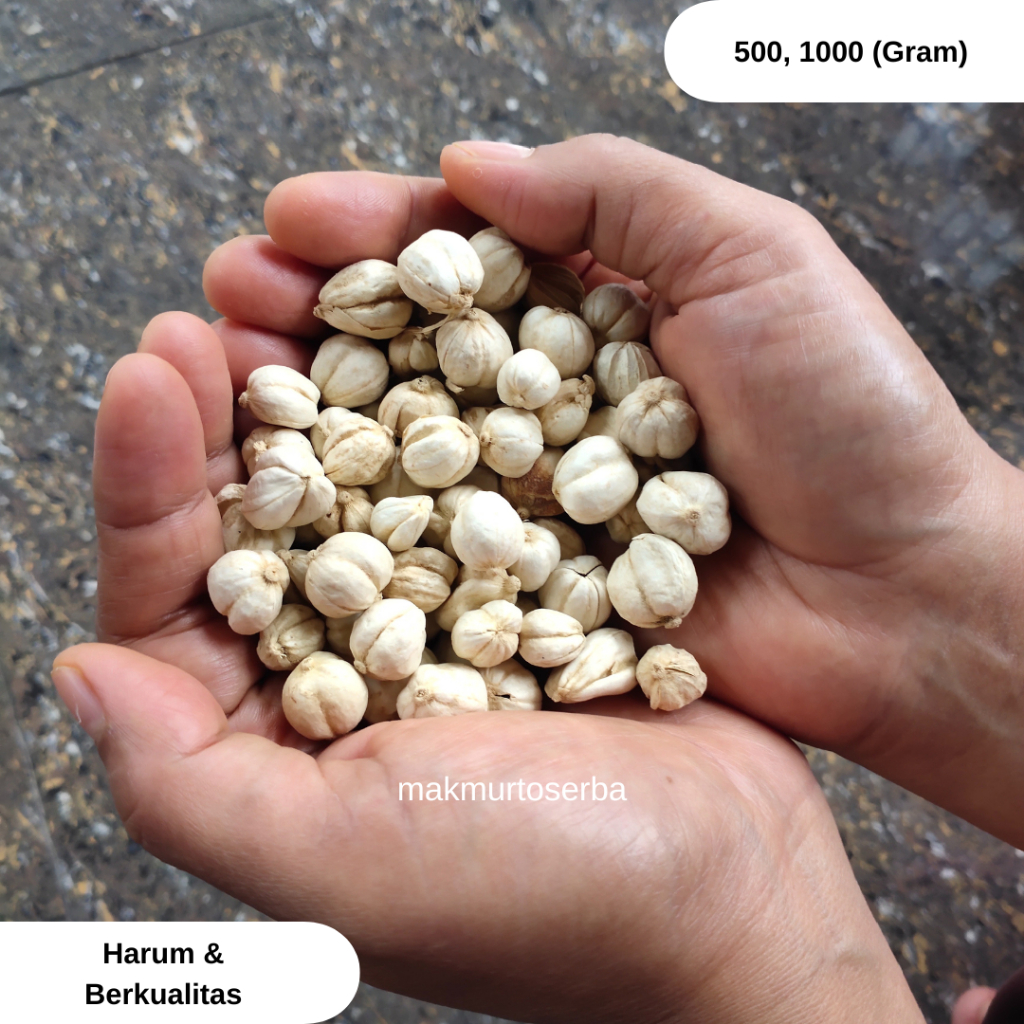 

Kapulaga Putih Kering | Sedia 500 - 1000 Gram | Rempah & Bumbu Masakan