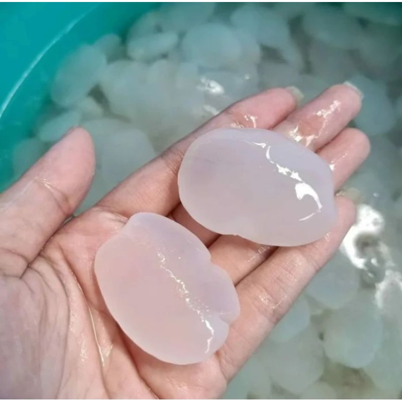 

KOLANG KALING CARULUK MUDA UKURAN JUMBO 1KG
