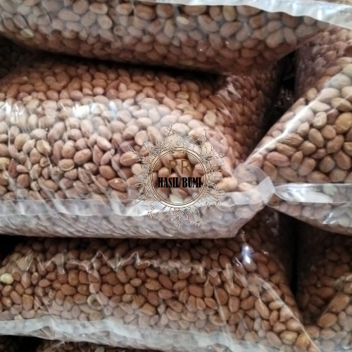 

KACANG TANAH BALI SUPER