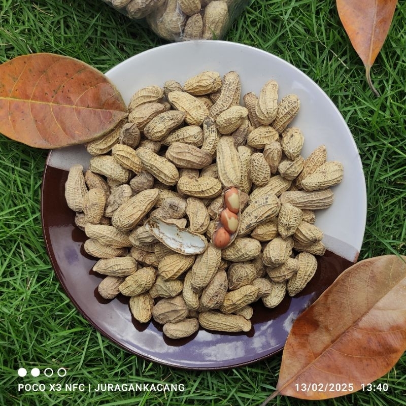 

Kacang Sangrai Original Bendo Gurih Renyah Enak