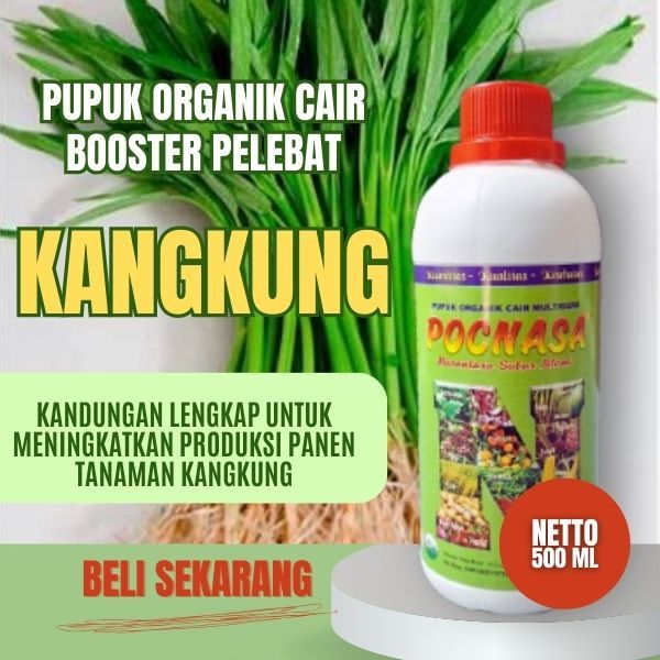 Pupuk Kangkung / Pupuk Kangkung Darat / Pupuk kangkung Air / Pupuk Kangkung Hidroponik / Siap Tanam