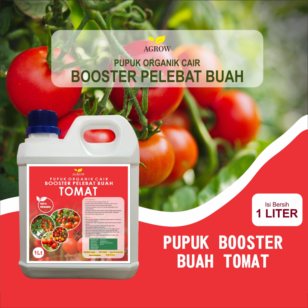Pupuk Cair Pembesar Buah Tomat 1 Liter Pupuk Buah Super Lebat Tomat