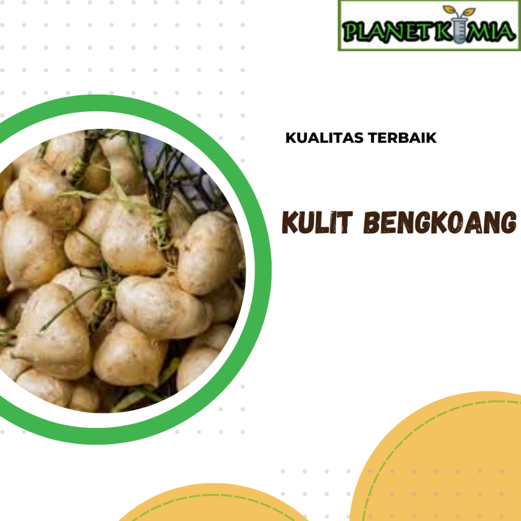 

dried,serbuk buah bengkoang best product