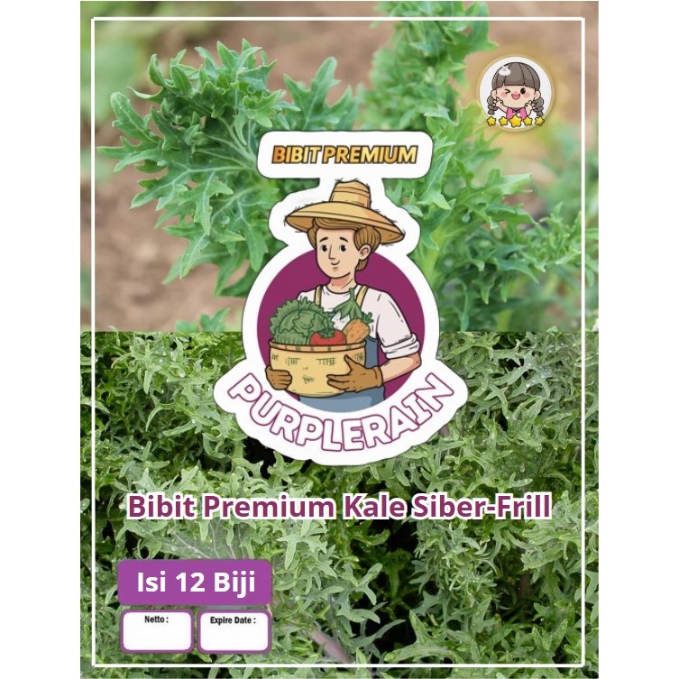 Bibit Premium Kale Siber Frill |Biji Benih Kale Siber Frill |Bibit Kale