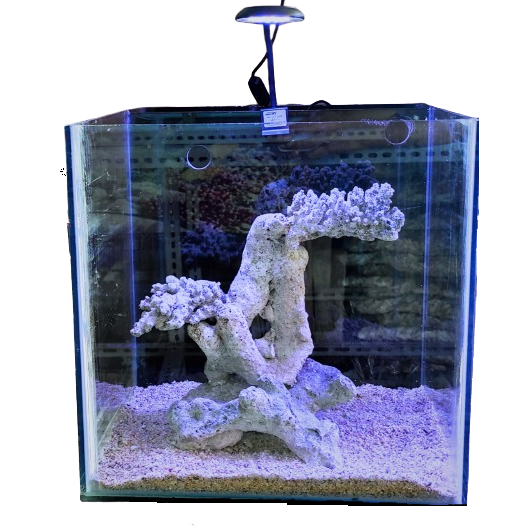 Aquarium minimalis / nano tank filter belakang  aquarium air tawar atau air laut