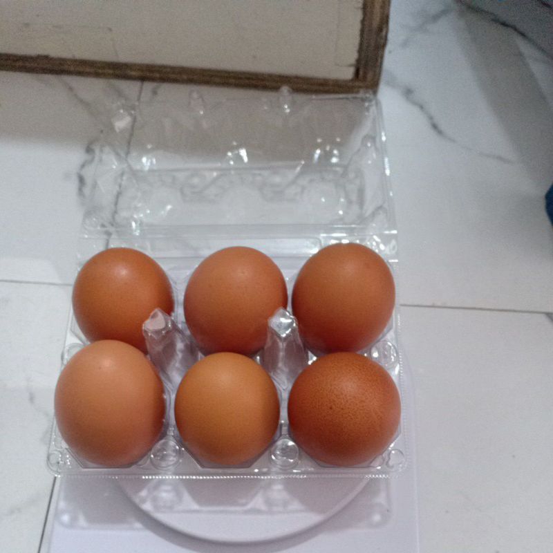 

Telor ayam Negeri isi 6 Butir