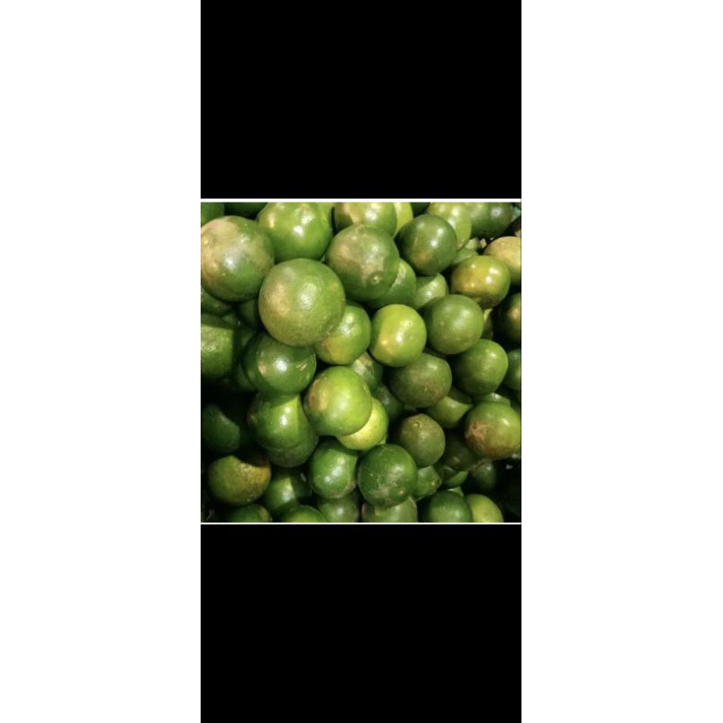 

JERUK NIPIS FRESH LANGSUNG KIRIM