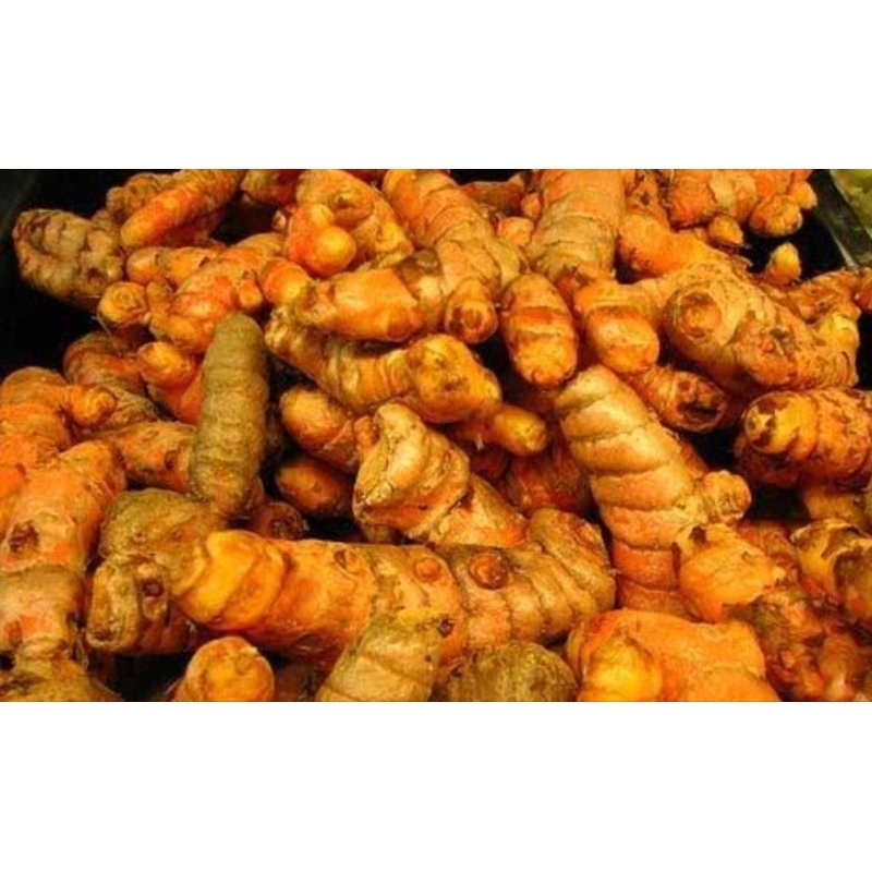 

kunyit segar asli 250 gram