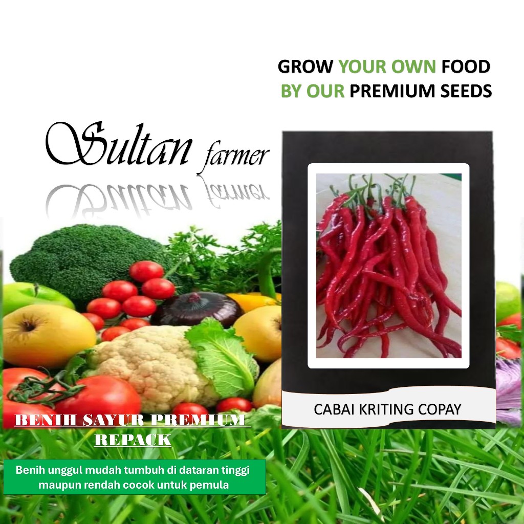 50 benih Biji keriting cabe kopay- F1 Repack