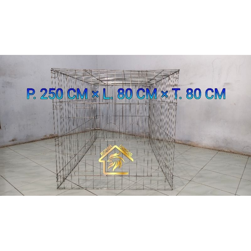 GALVANIS KANDANG UMBARAN AYAM P.250×L.80×T.80 TENGARAN PERSEGI PANJANG