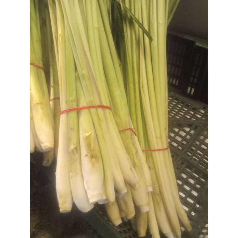 

sereh/sereh sayur/daun sereh per 1 ikat