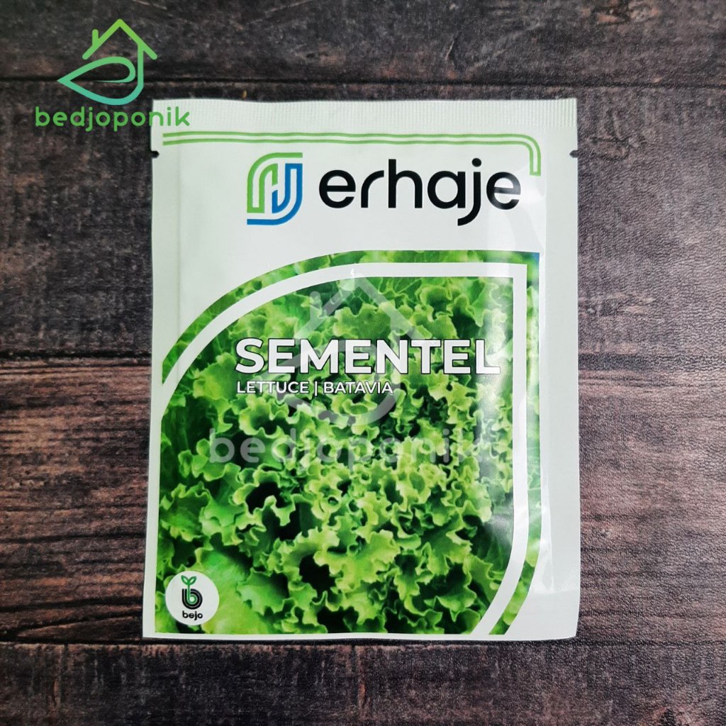 1000 pills SEMENTEL bejo seed Benih Lettuce Batavia Benih Selada