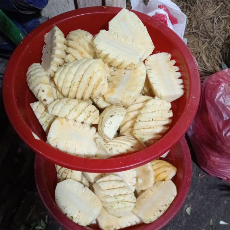 

nanas kupas besih 1pcs