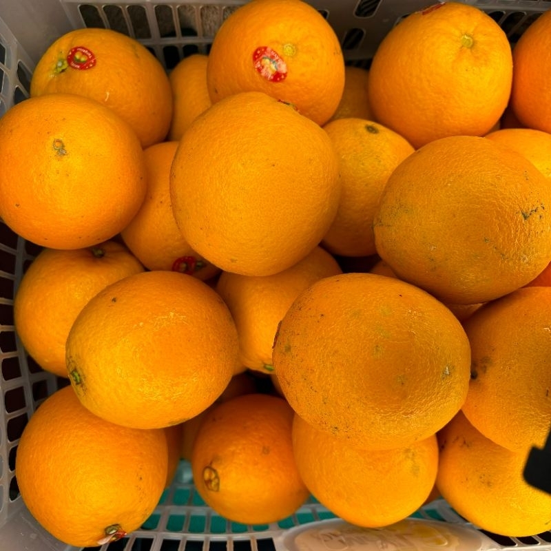 

1 Kg Sunkist Navel ( Manis )