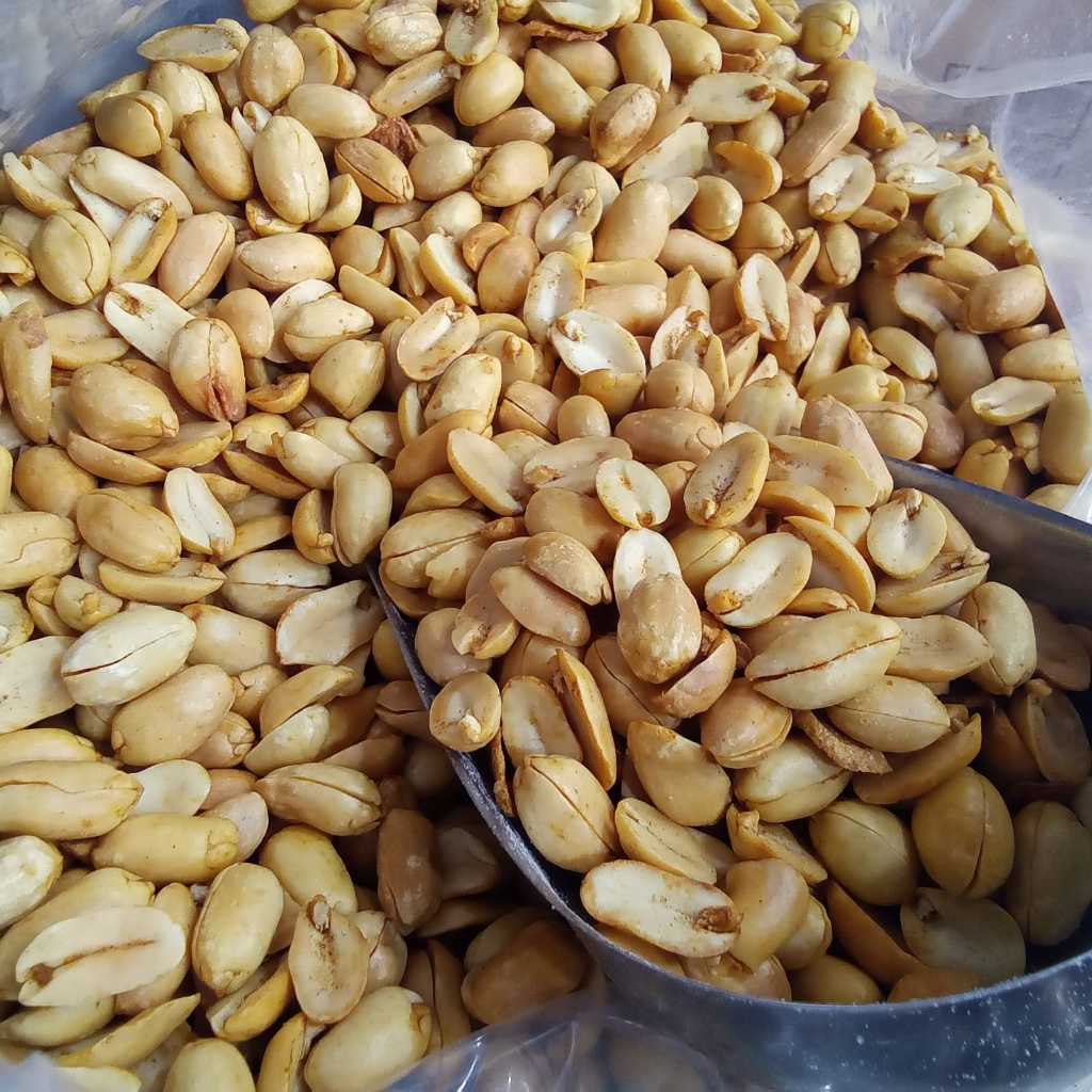 

kacang bawang gurih jumbo 1kg