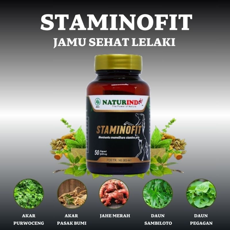 Pasak Bumi Bubuk Original STAMINOFIT Pria ISI 50 KAPSUL