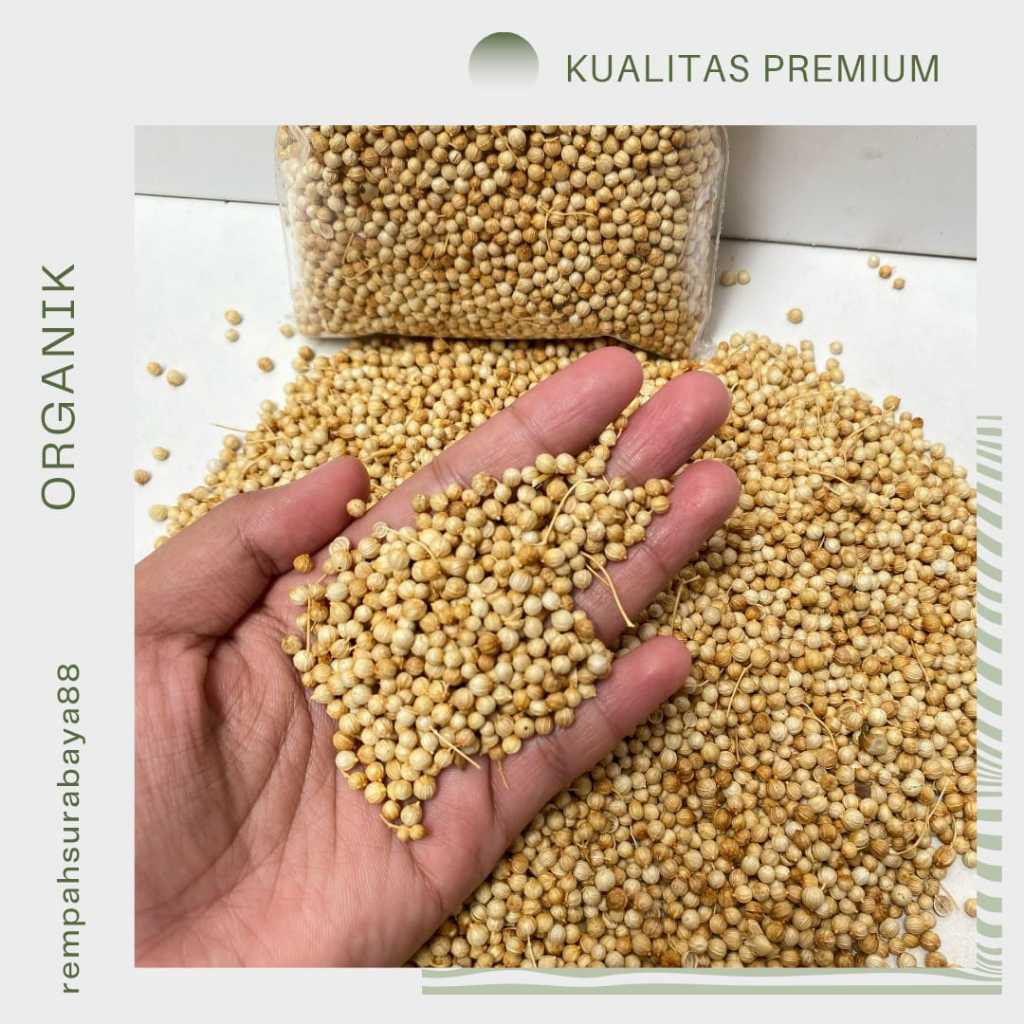 

KETUMBAR PUTIH ORGANIK | KETUMBAR PUTIH ALAMI GRADE A