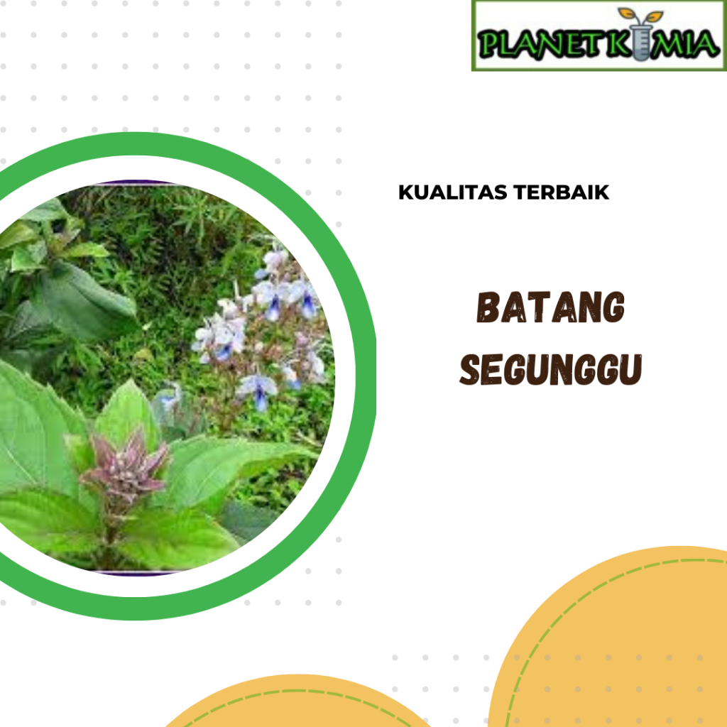 

dried,serbuk batang segunggu best product