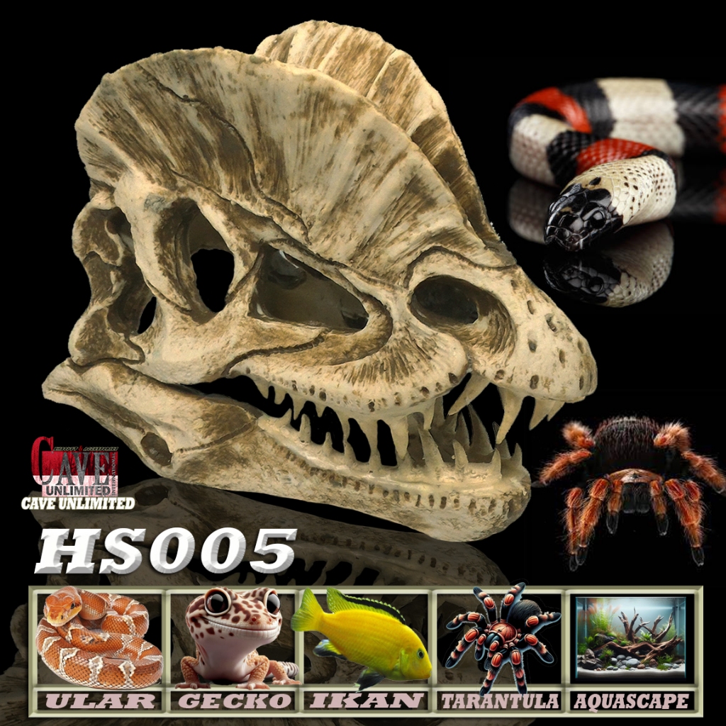 HS005 ORNAMEN AQUASCAPE AKUARIUM IKAN HIAS PREDATOR HIDING SKULL TENGKORAK DINOSAURUS HIDINGCAVE TEM