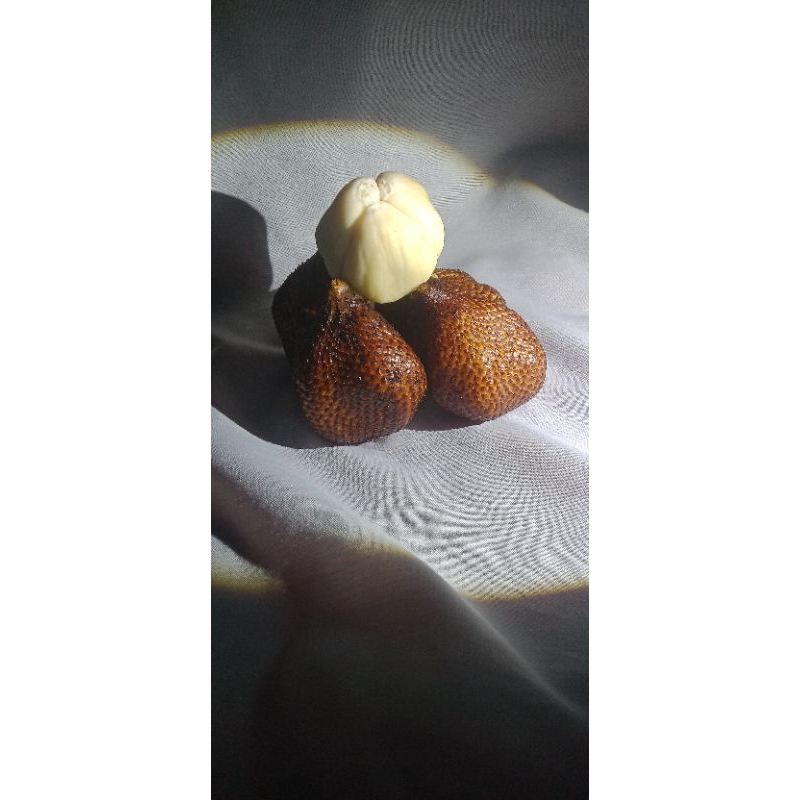 

salakkampungperpaduanrasamanisdanasam